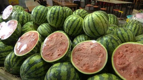 吃瓜在哪个网,吃瓜群众热议的网络热点生成之谜