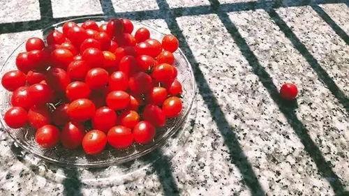 抖音网红甜菜吃瓜,揭秘抖音网红的瓜田奇遇